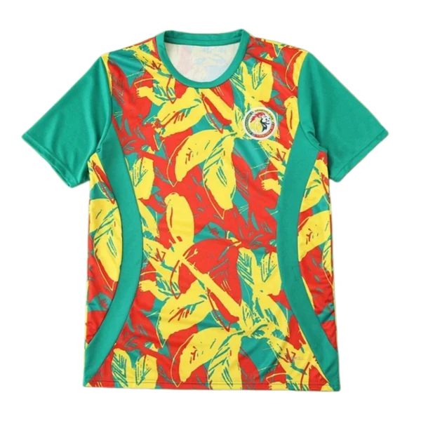 2526 season Senegal Training clothes Fan version