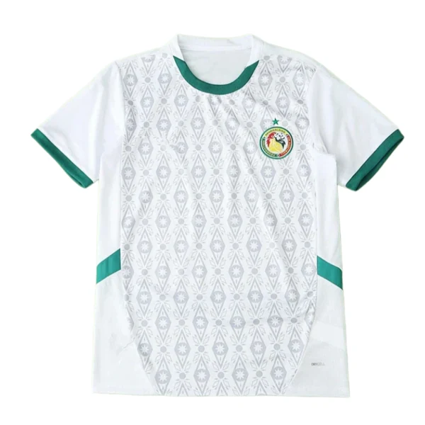 2425 season Senegal home Fan version