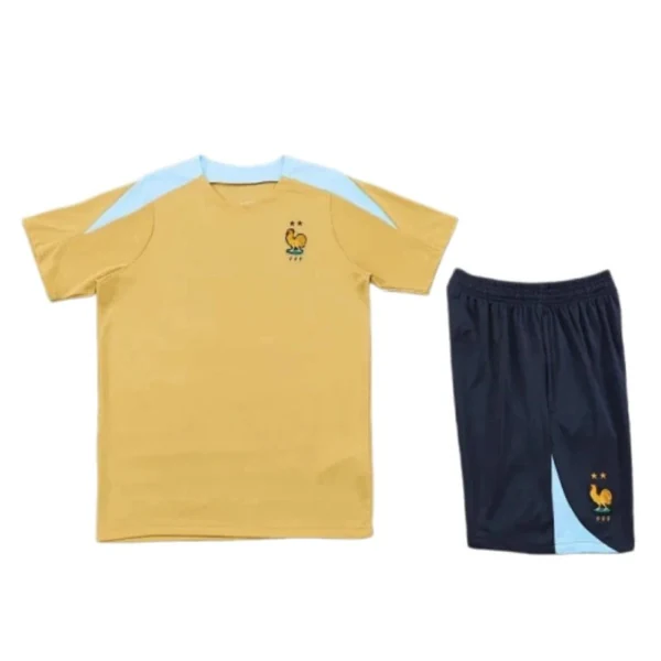 2425 France Training clothes suit Short sleeve Fan version