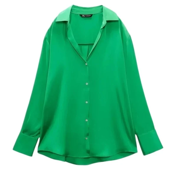 Zara Shirt